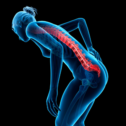 Formation gestes et postures crèche - Preventiss & Co